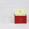 4 LUXE CRYSTAL AMARILLO