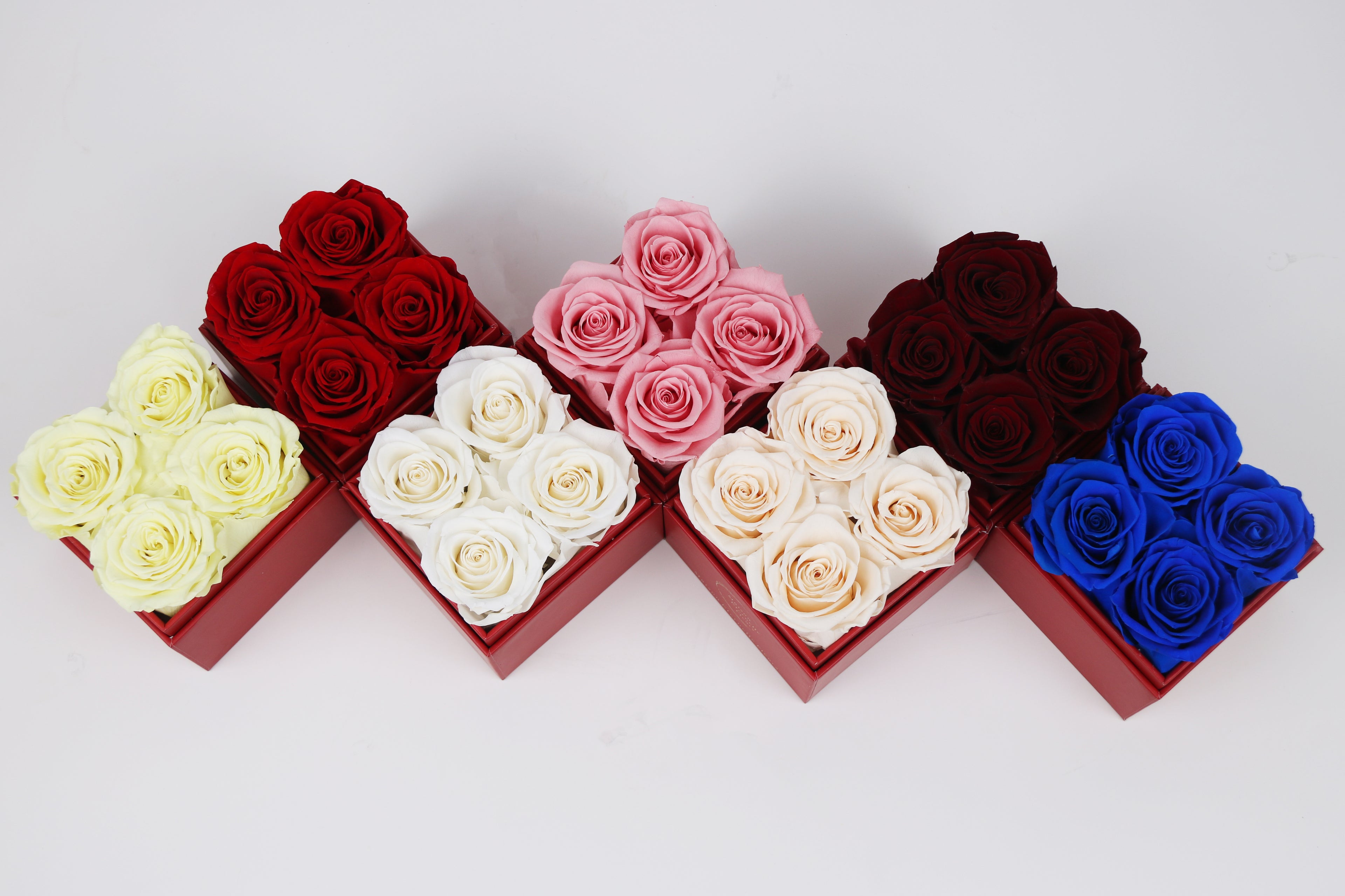 4 LUXE CRYSTAL ROJO