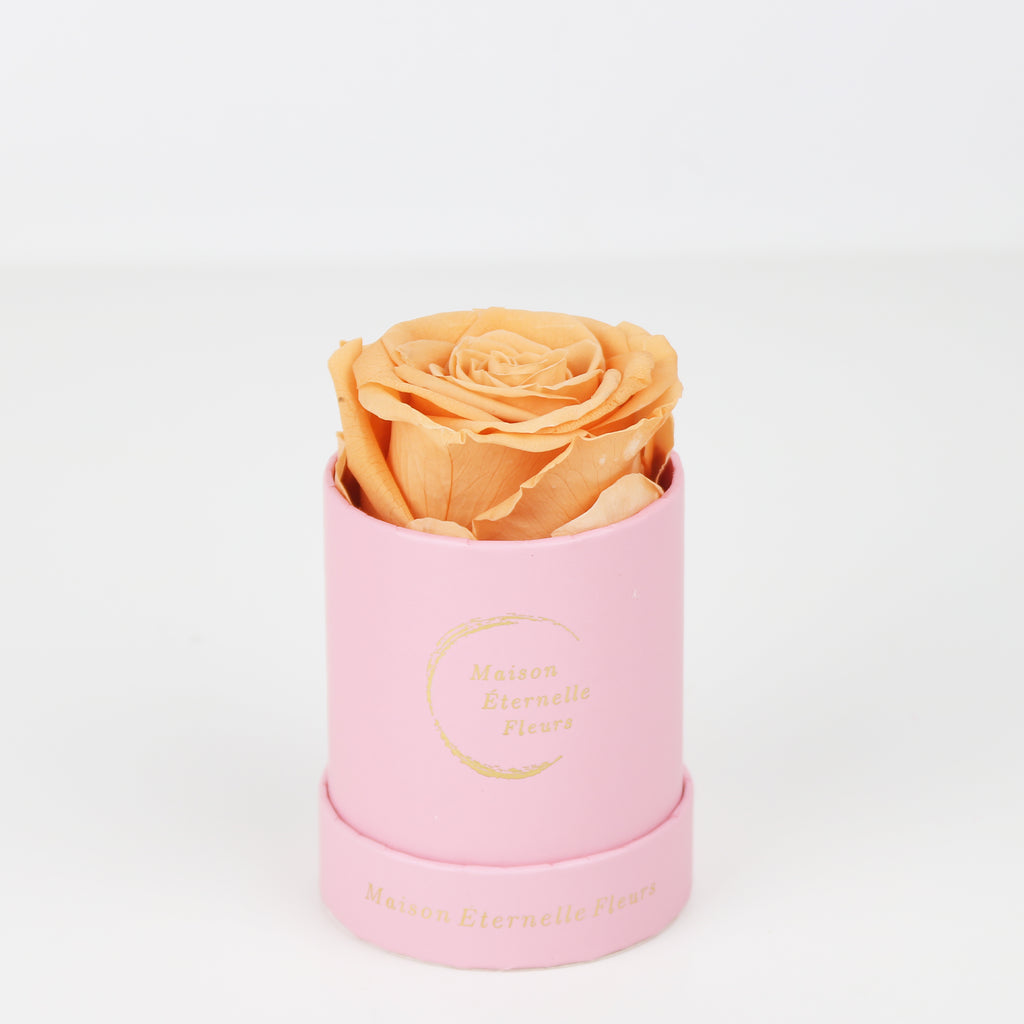 The only one Rose MELON NARANJA