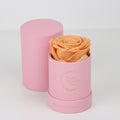 The only one Rose MELON NARANJA