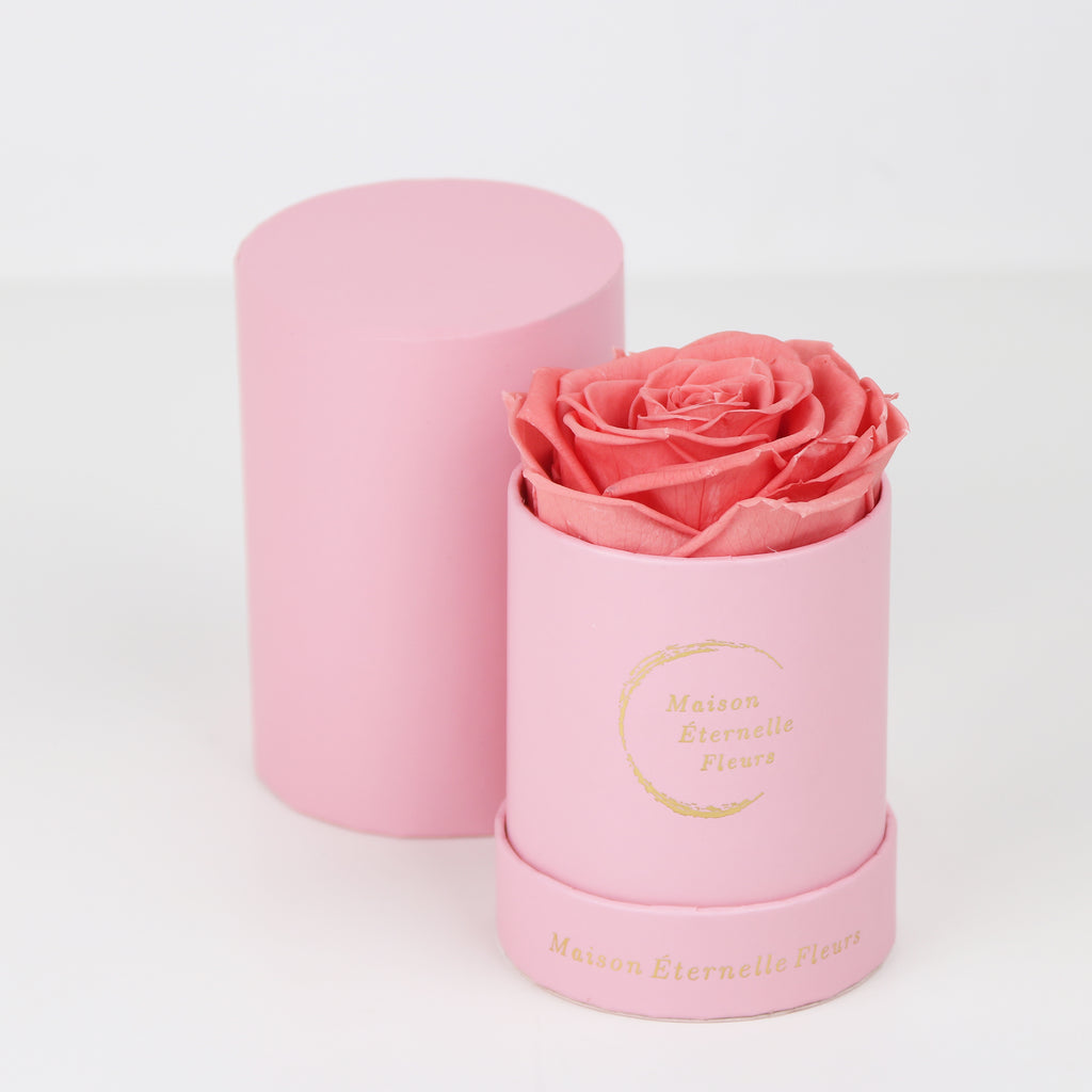 The only one Rose DURAZNO