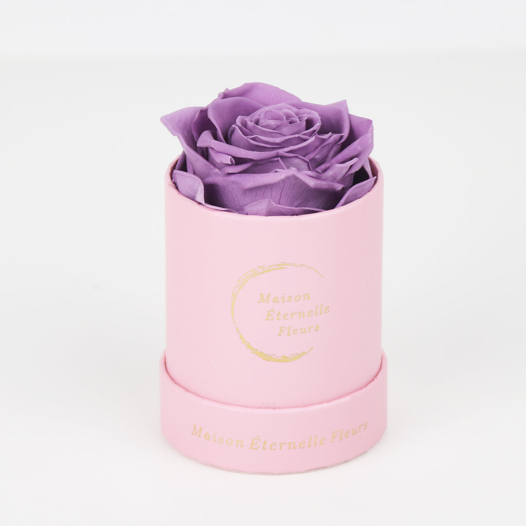 The only one Rose LAVANDA