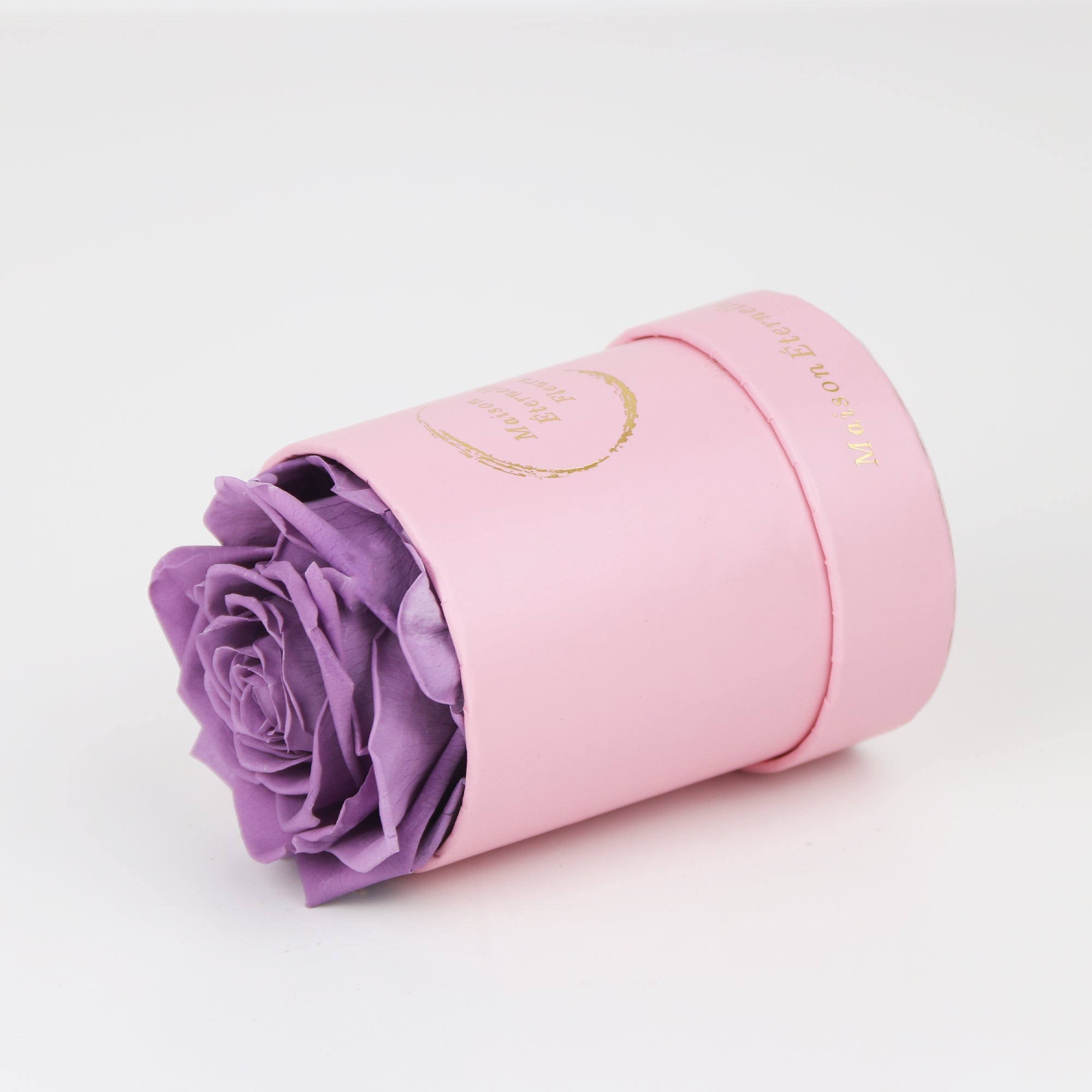 The only one Rose LAVANDA