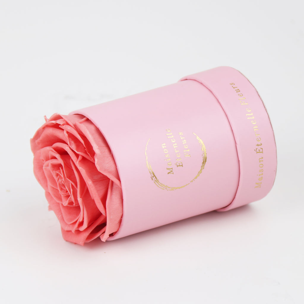 The only one Rose DURAZNO