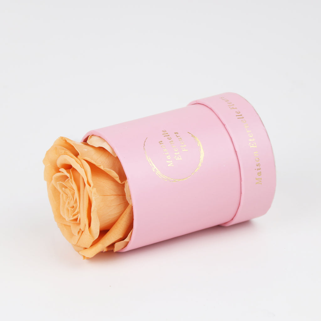 The only one Rose MELON NARANJA