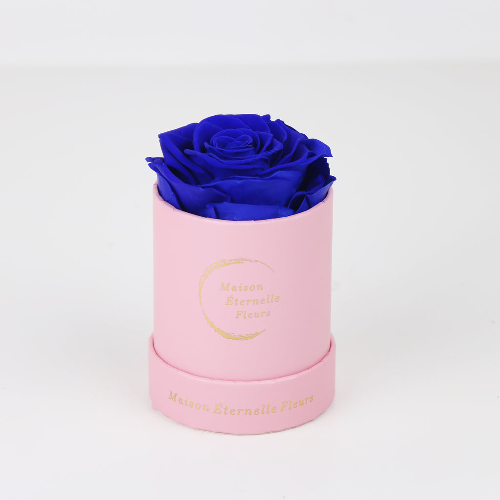 The only one Rose ROYAL AZUL