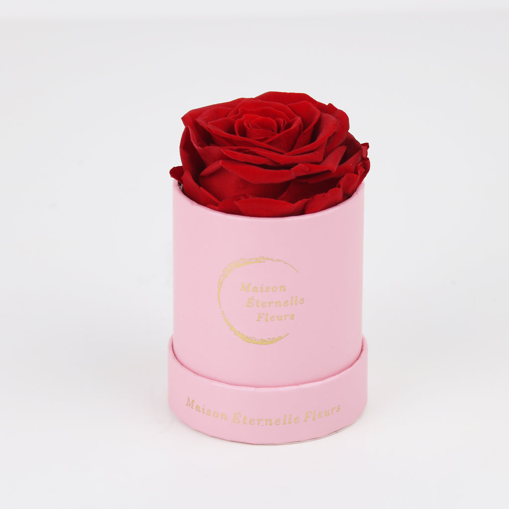 The only one Rose ROJO