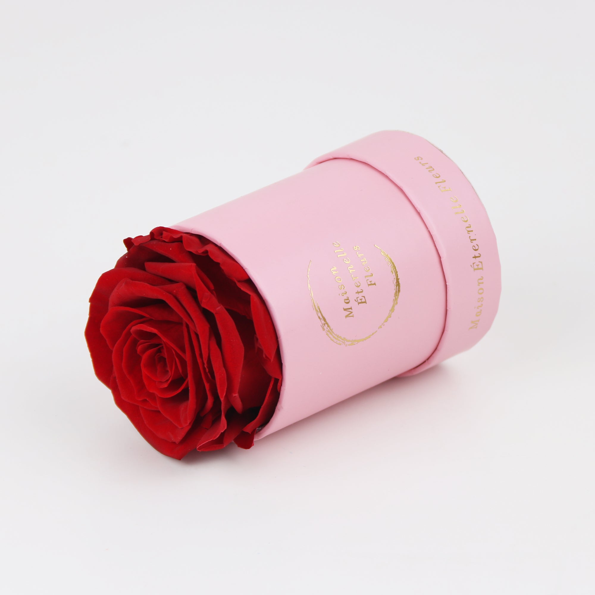 The only one Rose ROJO