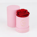 The only one Rose ROJO