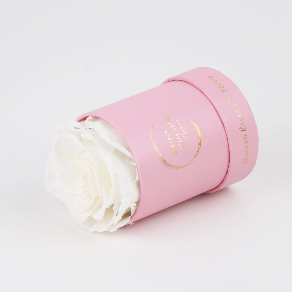 The only one Rose BLANCO
