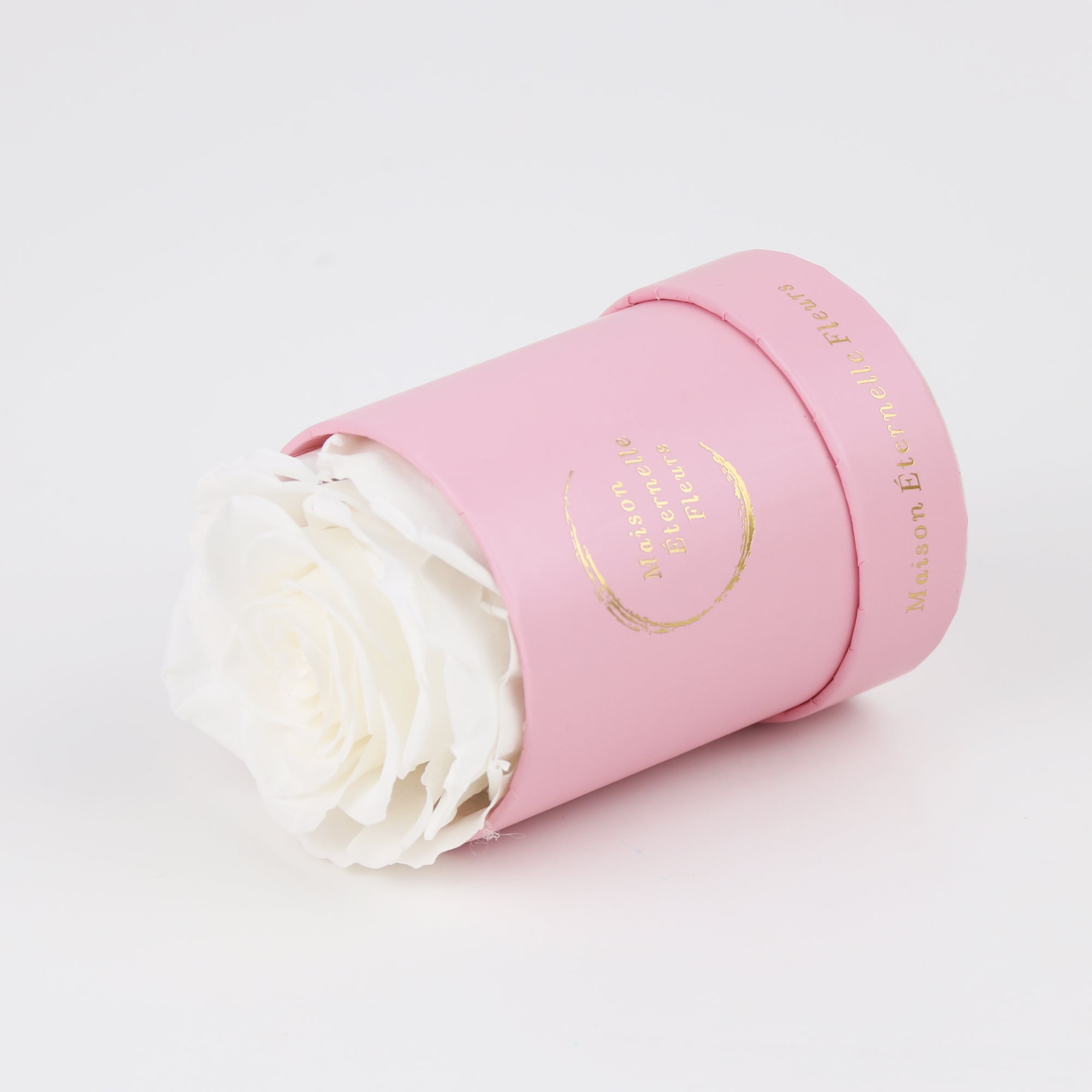 The only one Rose BLANCO