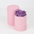 The only one Rose LAVANDA