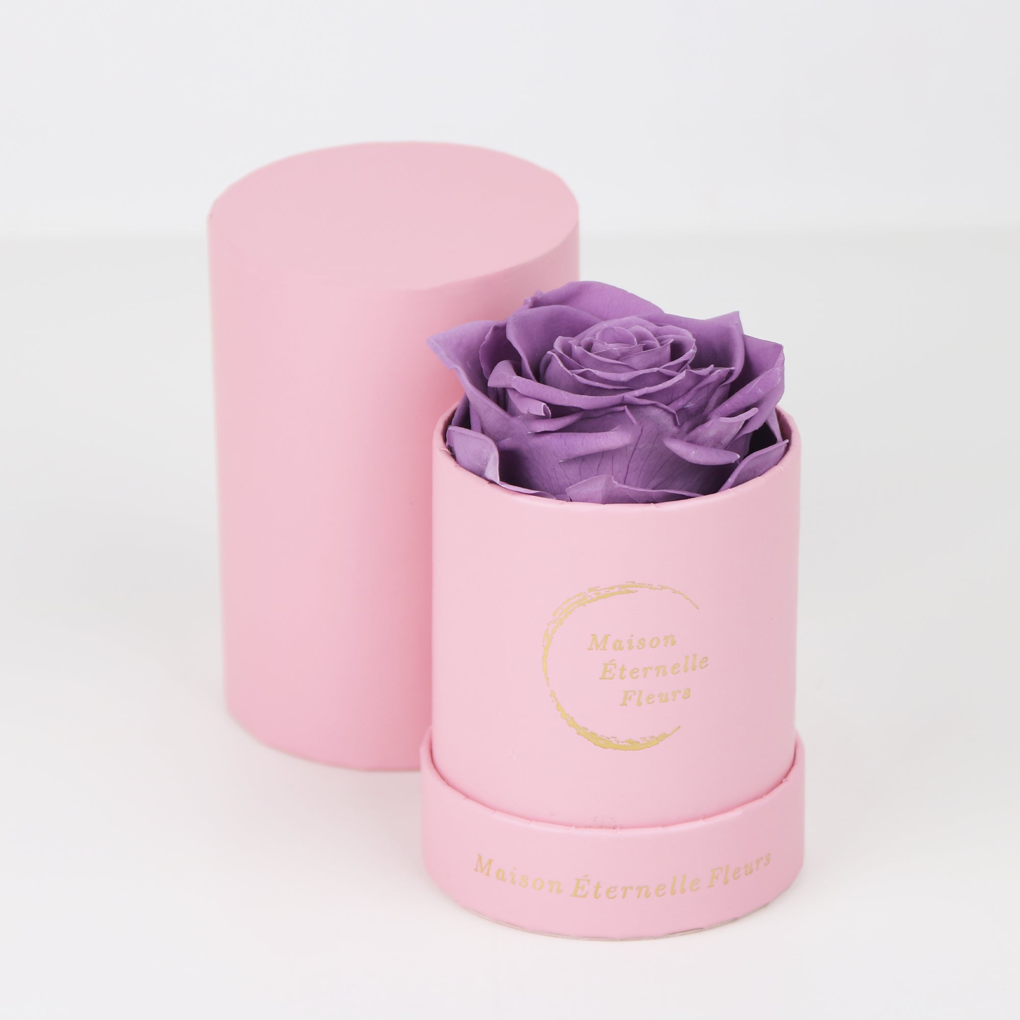 The only one Rose LAVANDA